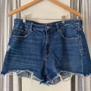 American Eagle Tomgirl Shorts